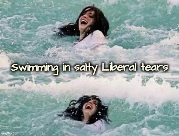 MAGA is fun | image tagged in maga is fun | made w/ Imgflip meme maker