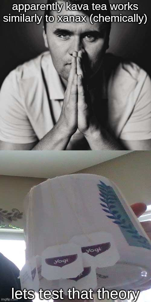 s | apparently kava tea works similarly to xanax (chemically); lets test that theory | image tagged in charlie kirk | made w/ Imgflip meme maker