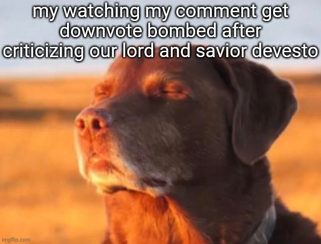 why devesto of all users to dickridedickride | my watching my comment get downvote bombed after criticizing our lord and savior devesto | image tagged in dog accepting fate | made w/ Imgflip meme maker