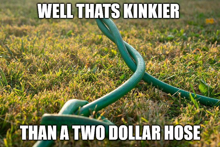 Kinkier | WELL THATS KINKIER; THAN A TWO DOLLAR HOSE | image tagged in kinky | made w/ Imgflip meme maker