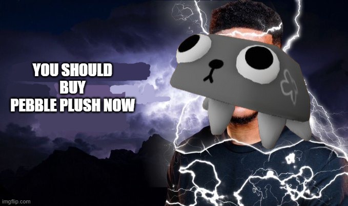 You should kill yourself NOW! | YOU SHOULD BUY PEBBLE PLUSH NOW | image tagged in you should kill yourself now | made w/ Imgflip meme maker
