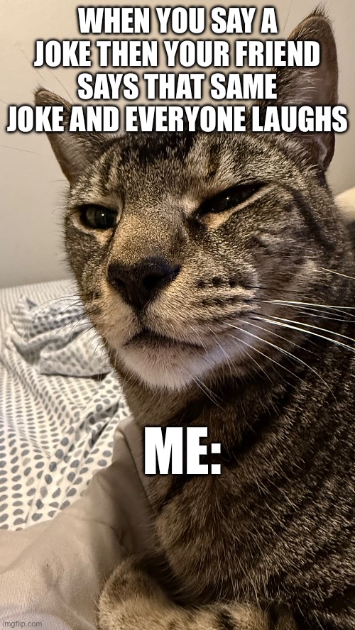 Grumpy Cat | WHEN YOU SAY A JOKE THEN YOUR FRIEND SAYS THAT SAME JOKE AND EVERYONE LAUGHS; ME: | image tagged in funny | made w/ Imgflip meme maker