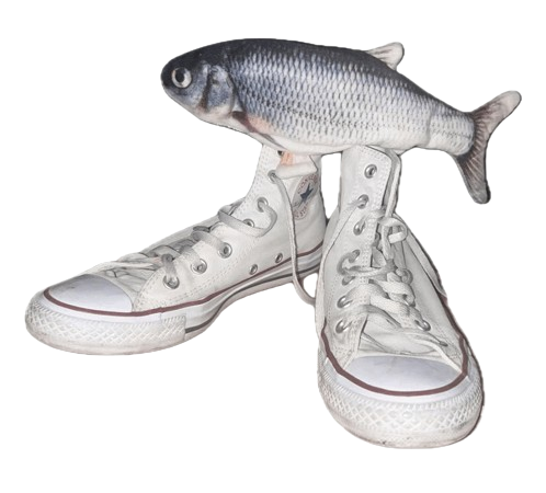 Fih Blank Meme Template