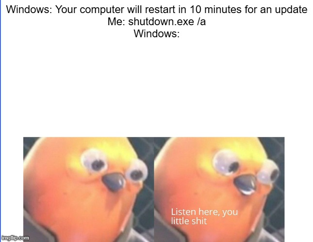 Listen here you little shit | Windows: Your computer will restart in 10 minutes for an update
Me: shutdown.exe /a
Windows: | image tagged in listen here you little shit,windows,update,memes,funny,windows 11 | made w/ Imgflip meme maker
