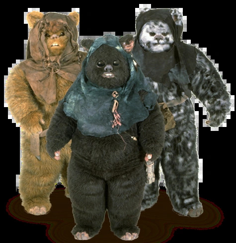 ewok Blank Meme Template