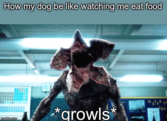 Demogorgon Ramsay | How my dog be like watching me eat food; *growls* | image tagged in demogorgon ramsay | made w/ Imgflip meme maker