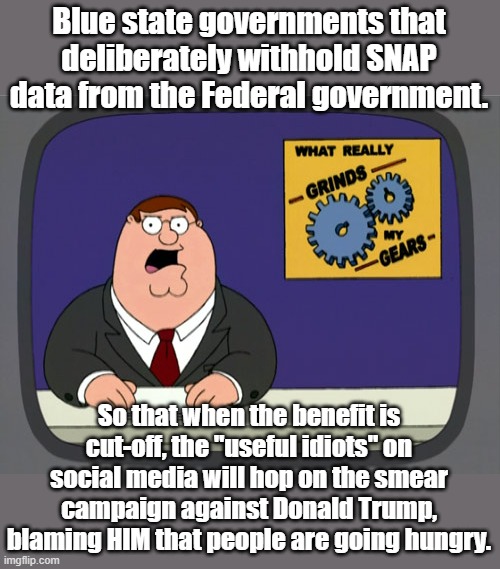 Peter Griffin News | Blue state governments that deliberately withhold SNAP data from the Federal government. So that when the benefit is cut-off, the "useful idiots" on social media will hop on the smear campaign against Donald Trump, blaming HIM that people are going hungry. | image tagged in peter griffin news,snap,welfare,president trump,donald trump | made w/ Imgflip meme maker
