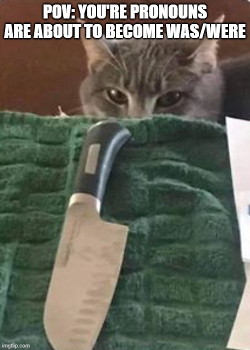 Killer Cat | POV: YOU'RE PRONOUNS ARE ABOUT TO BECOME WAS/WERE | image tagged in cats | made w/ Imgflip meme maker