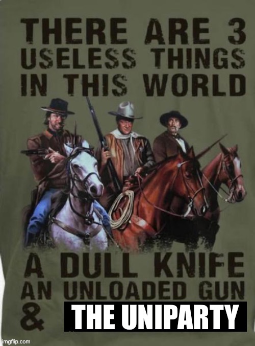 Useful to each other, but useless and destructive to the rest of us… | THE UNIPARTY | image tagged in political meme,3 useless things,uniparty,scumbags | made w/ Imgflip meme maker