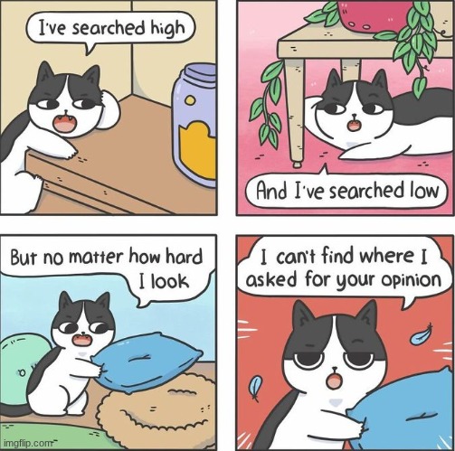 I didn’t ask for your opinion | image tagged in i didn t ask for your opinion | made w/ Imgflip meme maker