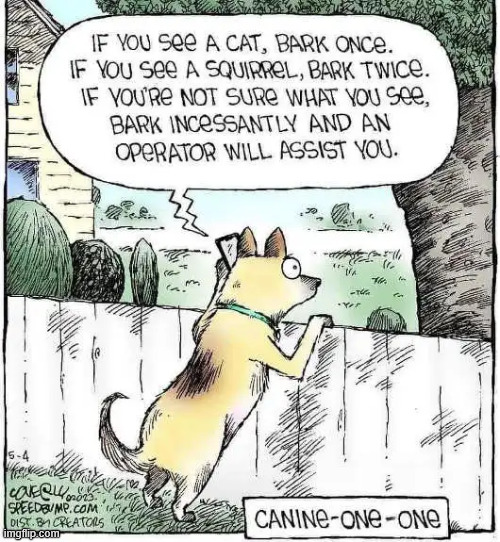 Canine one one | image tagged in repost,canine one one | made w/ Imgflip meme maker