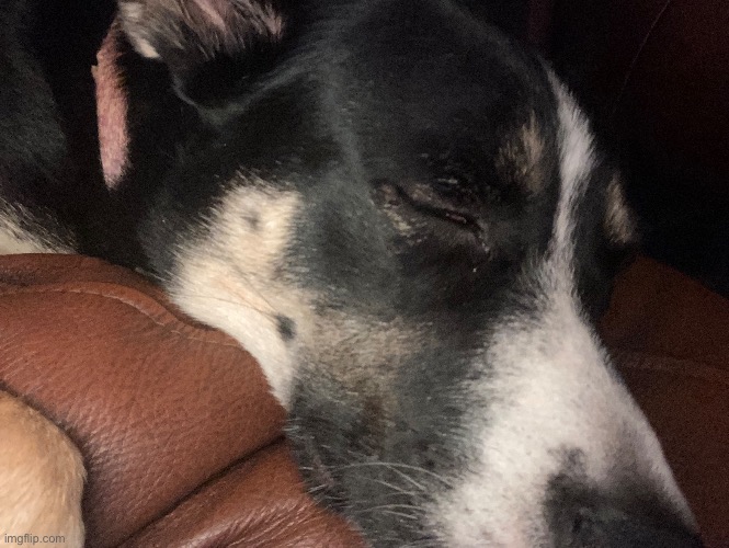 Ya’ll ever just | made w/ Imgflip meme maker