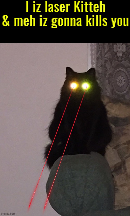 Meh Iz Laser Kitteh | I iz laser Kitteh & meh iz gonna kills you | image tagged in cats,funny cat memes,laser eyes,kill you cat,triggered,time to die | made w/ Imgflip meme maker