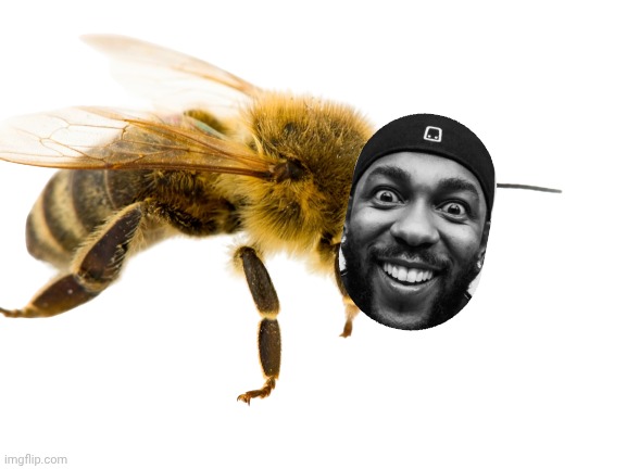 Honeybee | image tagged in honeybee | made w/ Imgflip meme maker