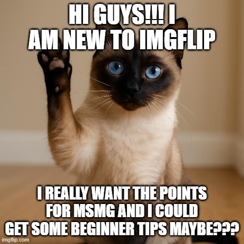 im new!!! | HI GUYS!!! I AM NEW TO IMGFLIP; I REALLY WANT THE POINTS FOR MSMG AND I COULD GET SOME BEGINNER TIPS MAYBE??? | image tagged in im new to imgflip | made w/ Imgflip meme maker