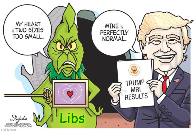 The difference | Libs | image tagged in political,reposts,the difference | made w/ Imgflip meme maker