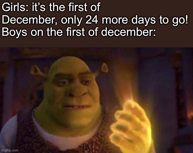Shrek Glowing Hand | Girls: it’s the first of December, only 24 more days to go!
Boys on the first of december: | image tagged in shrek glowing hand | made w/ Imgflip meme maker