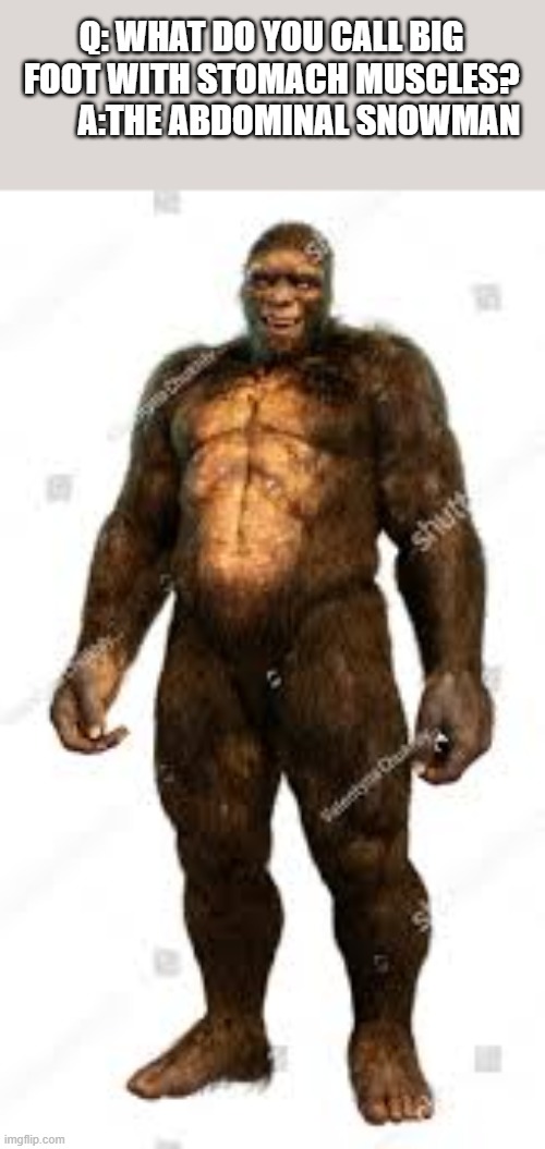 What do you call Big Foot with stomach muscles? The Abdominal Snowman | Q: WHAT DO YOU CALL BIG FOOT WITH STOMACH MUSCLES?         A:THE ABDOMINAL SNOWMAN | image tagged in funny,humor,big foot,yeti,play on words | made w/ Imgflip meme maker
