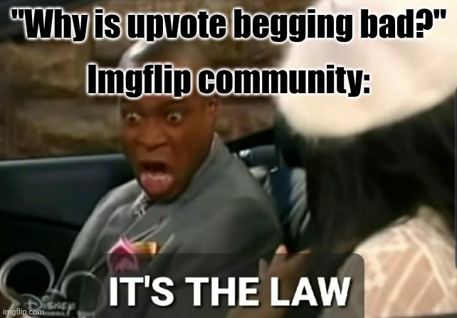 But that's true, isn't it | "Why is upvote begging bad?"; Imgflip community: | image tagged in it's the law,upvote begging,why are you reading this | made w/ Imgflip meme maker