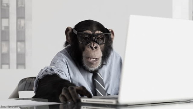 Computer Monkey | image tagged in computer monkey | made w/ Imgflip meme maker