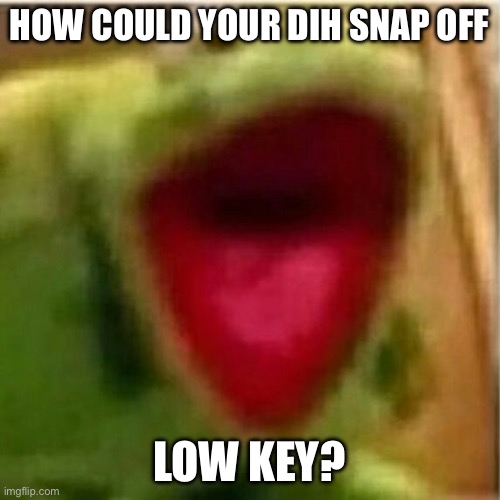 Low Key? | HOW COULD YOUR DIH SNAP OFF; LOW KEY? | image tagged in ahhhhhhhhhhhhh,low key just a chill guy,dick,snap | made w/ Imgflip meme maker
