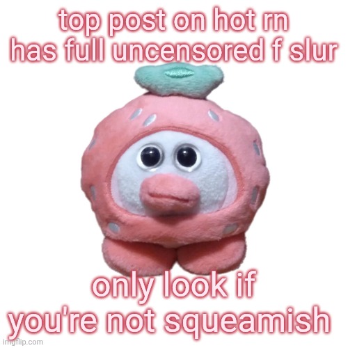 Strawberry Ouioui (Allstars) | top post on hot rn has full uncensored f slur; only look if you're not squeamish | image tagged in strawberry ouioui allstars | made w/ Imgflip meme maker