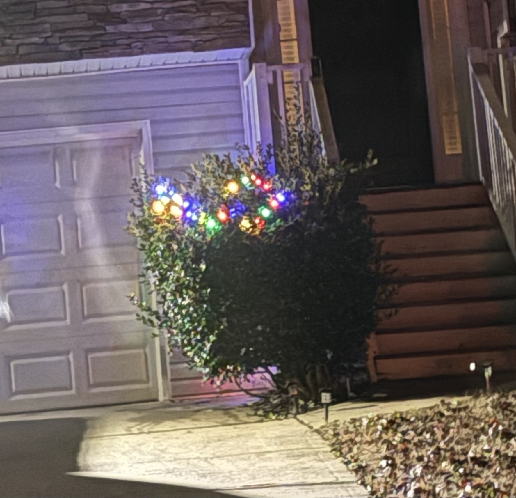 Terrible Christmas Bush Blank Meme Template