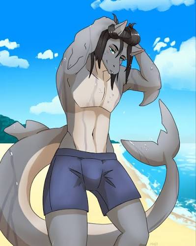 Dolphins Fursona Blank Meme Template