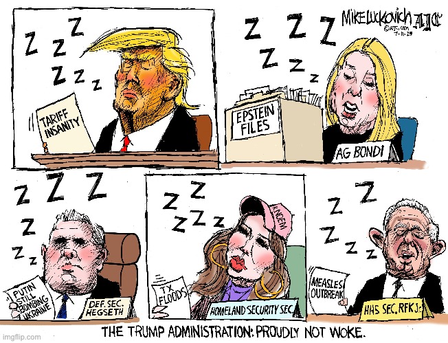 Dozy Don's given the whole government the sleeping sickness | image tagged in trump,idiocracy,dozey don | made w/ Imgflip meme maker