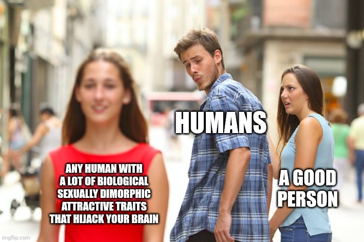 Oops | HUMANS; ANY HUMAN WITH
A LOT OF BIOLOGICAL
SEXUALLY DIMORPHIC
ATTRACTIVE TRAITS
THAT HIJACK YOUR BRAIN; A GOOD PERSON | image tagged in memes,distracted boyfriend,biology,relationships,dating,love | made w/ Imgflip meme maker