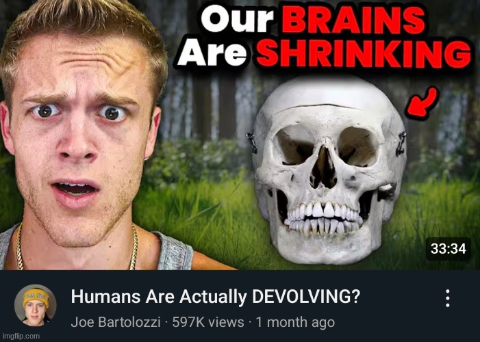 Our Brains Are Shrinking | image tagged in our brains are shrinking | made w/ Imgflip meme maker