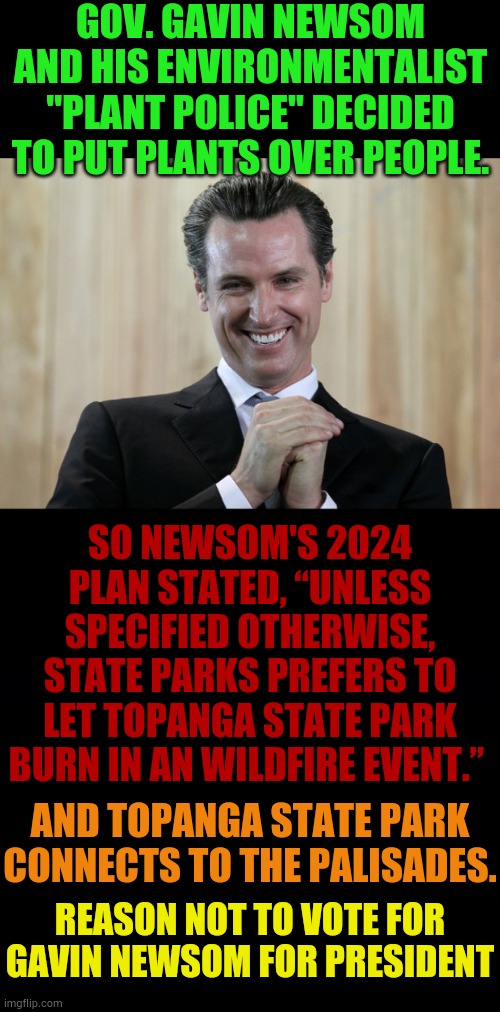Reason Not To Vote For Gavin Newsom For President | GOV. GAVIN NEWSOM AND HIS ENVIRONMENTALIST "PLANT POLICE" DECIDED TO PUT PLANTS OVER PEOPLE. SO NEWSOM'S 2024 PLAN STATED, “UNLESS SPECIFIED OTHERWISE, STATE PARKS PREFERS TO LET TOPANGA STATE PARK BURN IN AN WILDFIRE EVENT.”; AND TOPANGA STATE PARK CONNECTS TO THE PALISADES. REASON NOT TO VOTE FOR GAVIN NEWSOM FOR PRESIDENT | image tagged in scheming gavin newsom,environmental protection agency,parks and recreation,burn,politics,memes | made w/ Imgflip meme maker