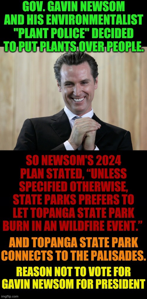 Reason Not To Vote For Gavin Newsom For President | image tagged in memes,no,gavin,president,let it burn,environmental | made w/ Imgflip meme maker