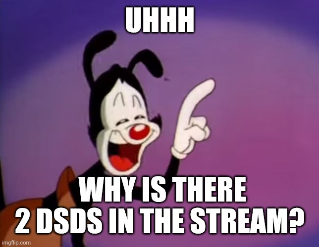 Yakko Uhhhhh | UHHH; WHY IS THERE 2 DSDS IN THE STREAM? | image tagged in yakko uhhhhh | made w/ Imgflip meme maker