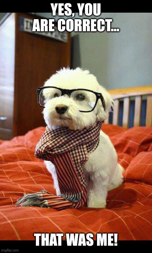 Malteser Gas | YES, YOU ARE CORRECT... THAT WAS ME! | image tagged in memes,intelligent dog | made w/ Imgflip meme maker