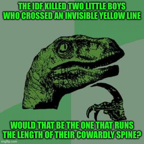 Philosoraptor | THE IDF KILLED TWO LITTLE BOYS WHO CROSSED AN INVISIBLE YELLOW LINE; WOULD THAT BE THE ONE THAT RUNS THE LENGTH OF THEIR COWARDLY SPINE? | image tagged in memes,philosoraptor | made w/ Imgflip meme maker