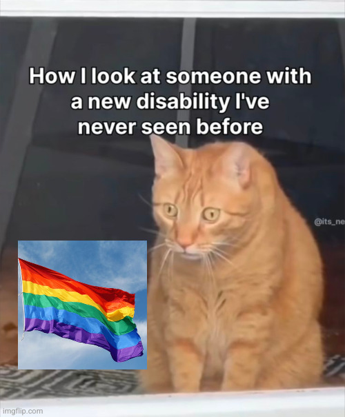 hahahaha flag but take away the L | image tagged in funny,why are you gay,cat,cat huhhhzusbd,jxhcirowk,woahhshcj | made w/ Imgflip meme maker