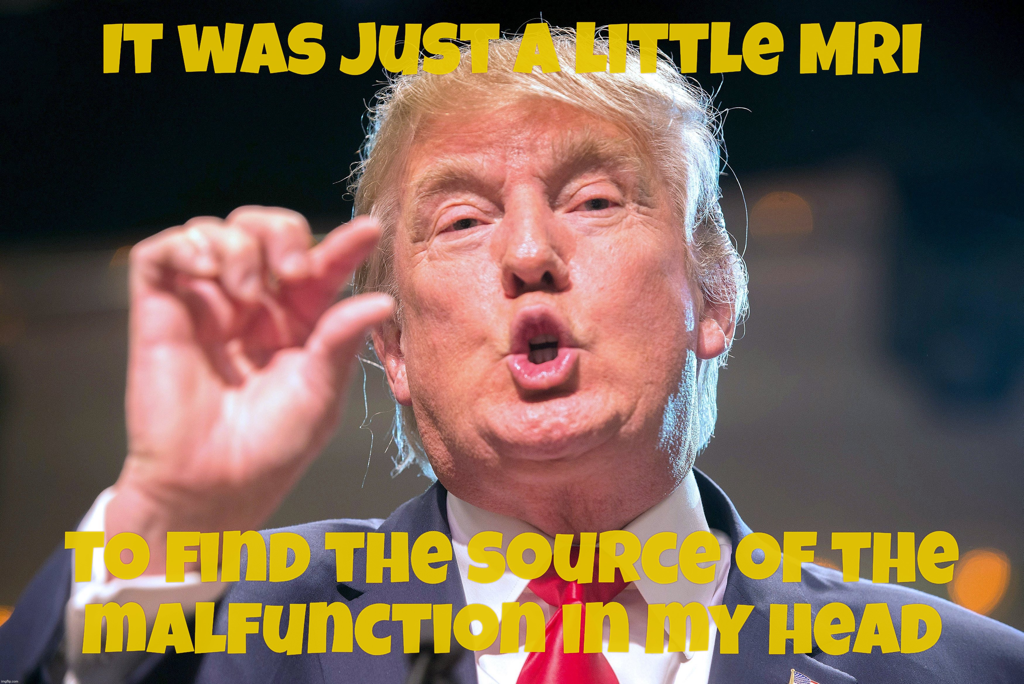 It was just a little MRI; To find the source of the
malfunction in my head | made w/ Imgflip meme maker