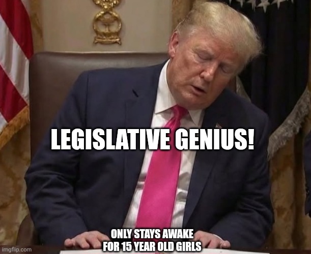 He needs to retire before he dies or kills democracy | LEGISLATIVE GENIUS! ONLY STAYS AWAKE FOR 15 YEAR OLD GIRLS | image tagged in dozing don,donald trump,sleepy,incompetence,retirement | made w/ Imgflip meme maker
