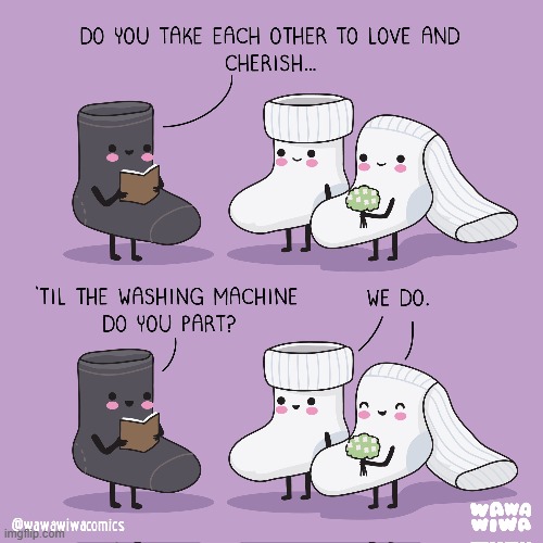 image tagged in socks,wedding,vows,wedding vows,washing machine,til death do us part | made w/ Imgflip meme maker