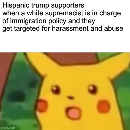 "I never thought he leopard would eat MY face!!" | Hispanic trump supporters when a white supremacist is in charge of immigration policy and they get targeted for harassment and abuse | image tagged in memes,surprised pikachu | made w/ Imgflip meme maker