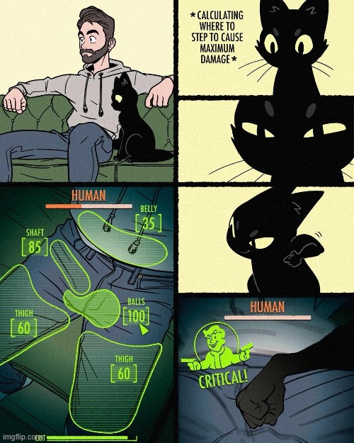 image tagged in cat,attack,maximum,damage,balls,ouch | made w/ Imgflip meme maker