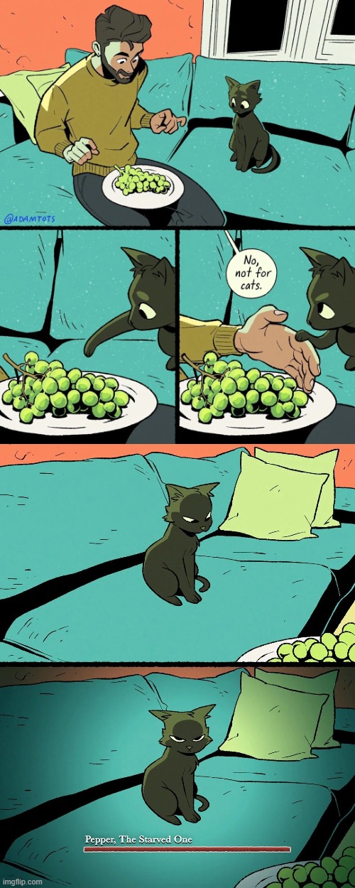 image tagged in grapes,cat,starved,starving,starvation,oof | made w/ Imgflip meme maker