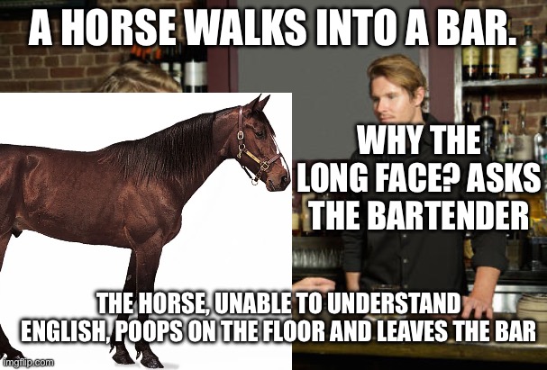 Guy talking to bartender | A HORSE WALKS INTO A BAR. WHY THE LONG FACE? ASKS THE BARTENDER; THE HORSE, UNABLE TO UNDERSTAND ENGLISH, POOPS ON THE FLOOR AND LEAVES THE BAR | image tagged in guy talking to bartender | made w/ Imgflip meme maker