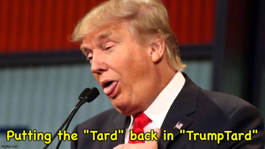 Stupid trump | Putting the "Tard" back in "TrumpTard" | image tagged in stupid trump | made w/ Imgflip meme maker