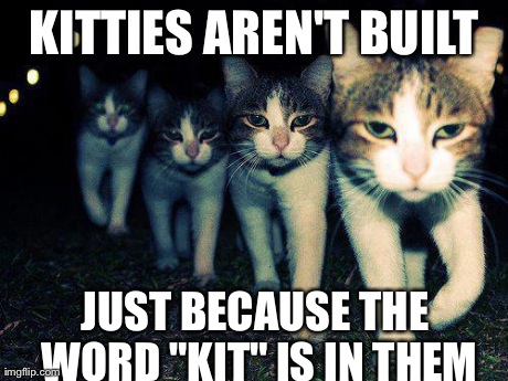 Wrong Neighboorhood Cats | KITTIES AREN'T BUILT JUST BECAUSE THE WORD "KIT" IS IN THEM | image tagged in memes,wrong neighboorhood cats | made w/ Imgflip meme maker
