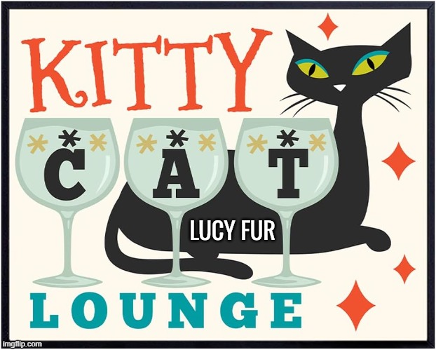 Come by for the PURR-fect Drink | LUCY FUR | image tagged in vince vance,cats,kitty cat,lounge,funny cat memes,sign | made w/ Imgflip meme maker