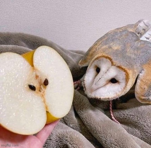 Omg rly? ! | made w/ Imgflip meme maker