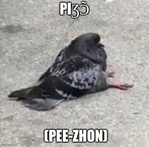 I'm feeling French today, now you can be too | PIƷƆ̃; (PEE-ZHON) | image tagged in funny,cute,pigeon,french | made w/ Imgflip meme maker