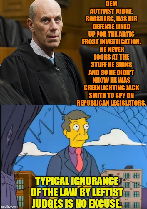 You're going to need a better defense than that judge. | DEM ACTIVIST JUDGE, BOASBERG, HAS HIS DEFENSE LINED UP FOR THE ARTIC FROST INVESTIGATION.  HE NEVER LOOKS AT THE STUFF HE SIGNS AND SO HE DIDN'T KNOW HE WAS GREENLIGHTING JACK SMITH TO SPY ON REPUBLICAN LEGISLATORS. TYPICAL IGNORANCE OF THE LAW BY LEFTIST JUDGES IS NO EXCUSE. | image tagged in skinner out of touch | made w/ Imgflip meme maker